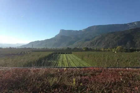 Maison écologique avec vélos gratuits à Gargazon : photo 2