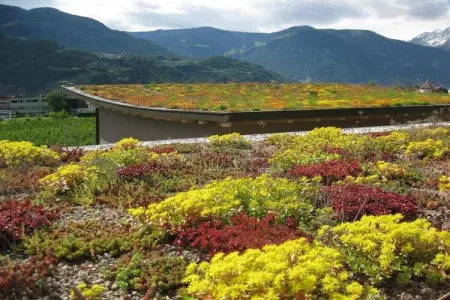 Maison écologique avec vélos gratuits à Gargazon : photo 4