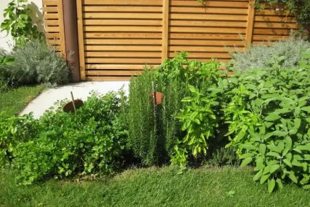 Maison écologique avec vélos gratuits à Gargazon : photo 9