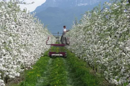 Maison écologique avec vélos gratuits à Gargazon : photo 10