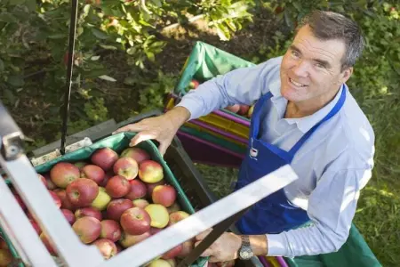 Maison écologique avec vélos gratuits à Gargazon : photo 12