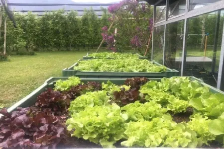 Maison écologique avec vélos gratuits à Gargazon : photo 24