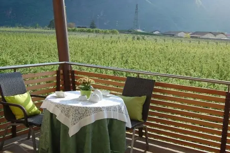 Maison écologique avec vélos gratuits à Gargazon : photo 31
