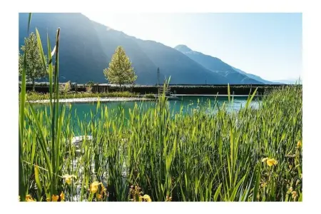 Maison écologique avec vélos gratuits à Gargazon : photo 40