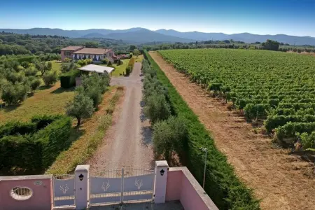 277601, Villa Casa Ulivino - Photo 5