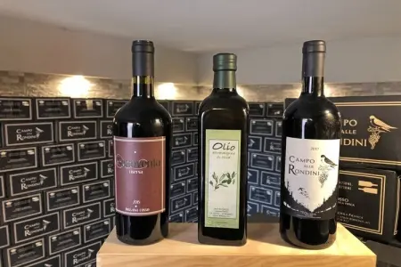 277601, Villa Casa Ulivino - Photo 11