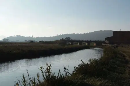 Cottage rustique moderne avec vue sur la Maremme : photo 39