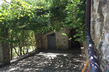 Maison en pierre au cœur du Parc du Cilento : photo 6