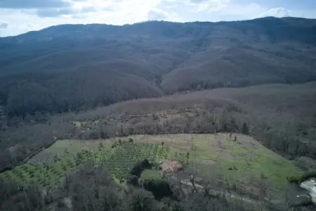 Maison en pierre au cœur du Parc du Cilento : photo 23