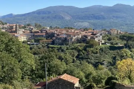 Maison en pierre au cœur du Parc du Cilento : photo 26