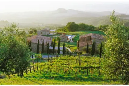 Maison 6 personnes avec piscine, vignoble et vue vallée : photo 12