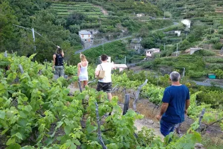 Maison Volastra, vue Cinque Terre et mer : photo 21