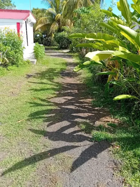 Appartement 110 m² avec piscine partagée, Sainte-Rose (Guadeloupe) : photo 18