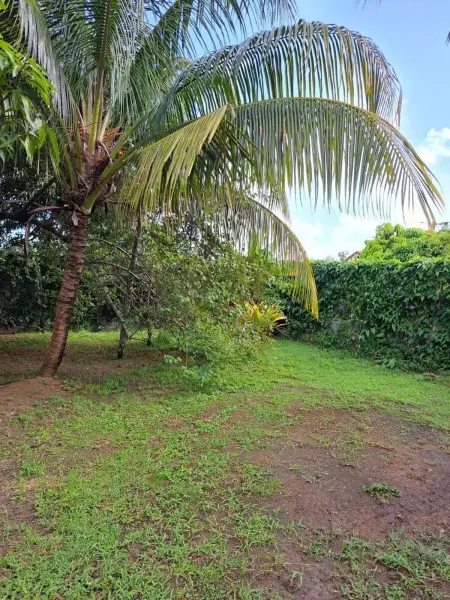 Appartement 110 m² avec piscine partagée, Sainte-Rose (Guadeloupe) : photo 20