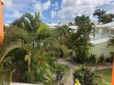 Appartement 38 m² avec piscine partagée à Saint-François, Guadeloupe : photo 8