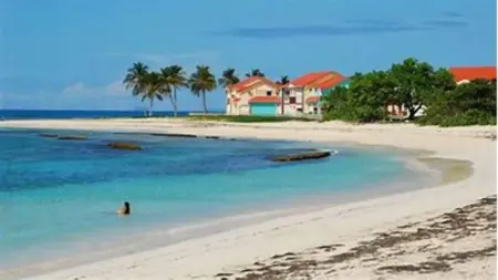 Appartement 38 m² avec piscine partagée à Saint-François, Guadeloupe : photo 17