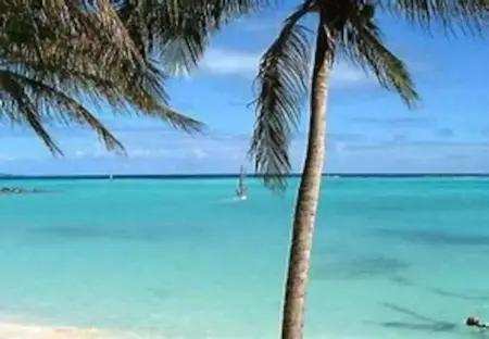 Appartement 38 m² avec piscine partagée à Saint-François, Guadeloupe : photo 19