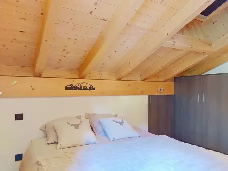 L'aigle blanc, Chalet 8 personnes à Praz sur Arly - Photo 15