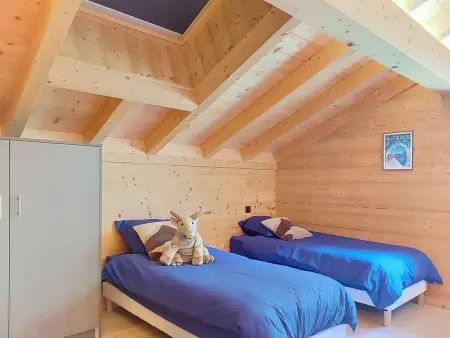 L'aigle blanc, Chalet 8 personnes à Praz sur Arly - Photo 21