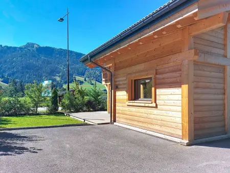 L'aigle blanc, Chalet 8 personnes à Praz sur Arly - Photo 26