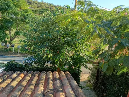 Maison charmante Le Plan-de-la-Tour, jardin, Maison 4 personnes à Le Plan de la Tour - Photo 3