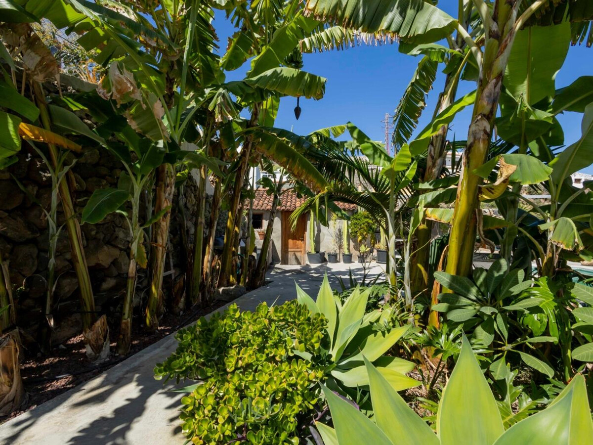 3 cottages canariens avec piscine chauffée - La Guancha - Photo 8