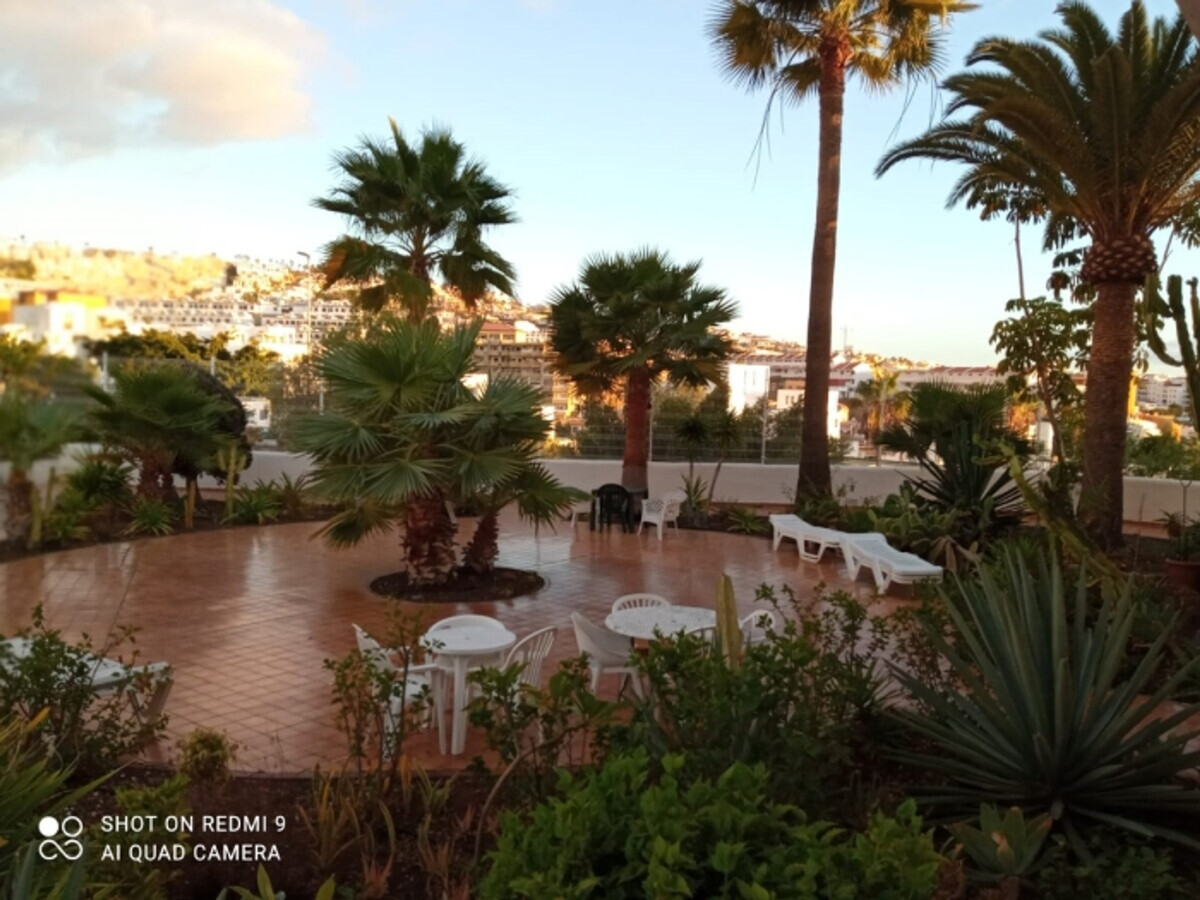 Studio Costa Adeje, terrasse 14m² près des plages - Photo 23
