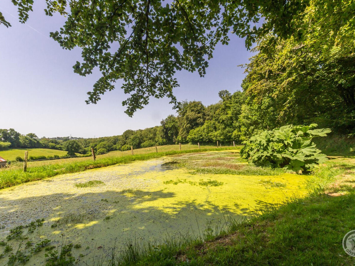 Gîte 6 pers. avec plan d'eau et billard au Vast - Photo 4