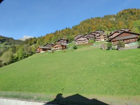 T4 6 pers. à 200m des télécabines - Le Grand-Bornand : photo 11