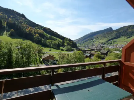 T4 6 pers. à 200m des télécabines - Le Grand-Bornand : photo 12