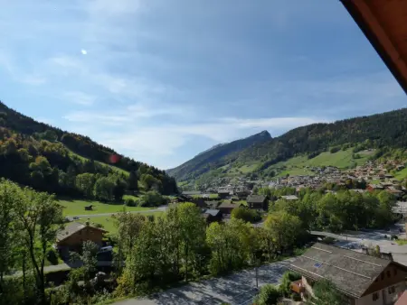 T4 6 pers. à 200m des télécabines - Le Grand-Bornand : photo 14