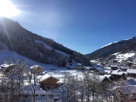 T4 6 pers. à 200m des télécabines - Le Grand-Bornand : photo 15