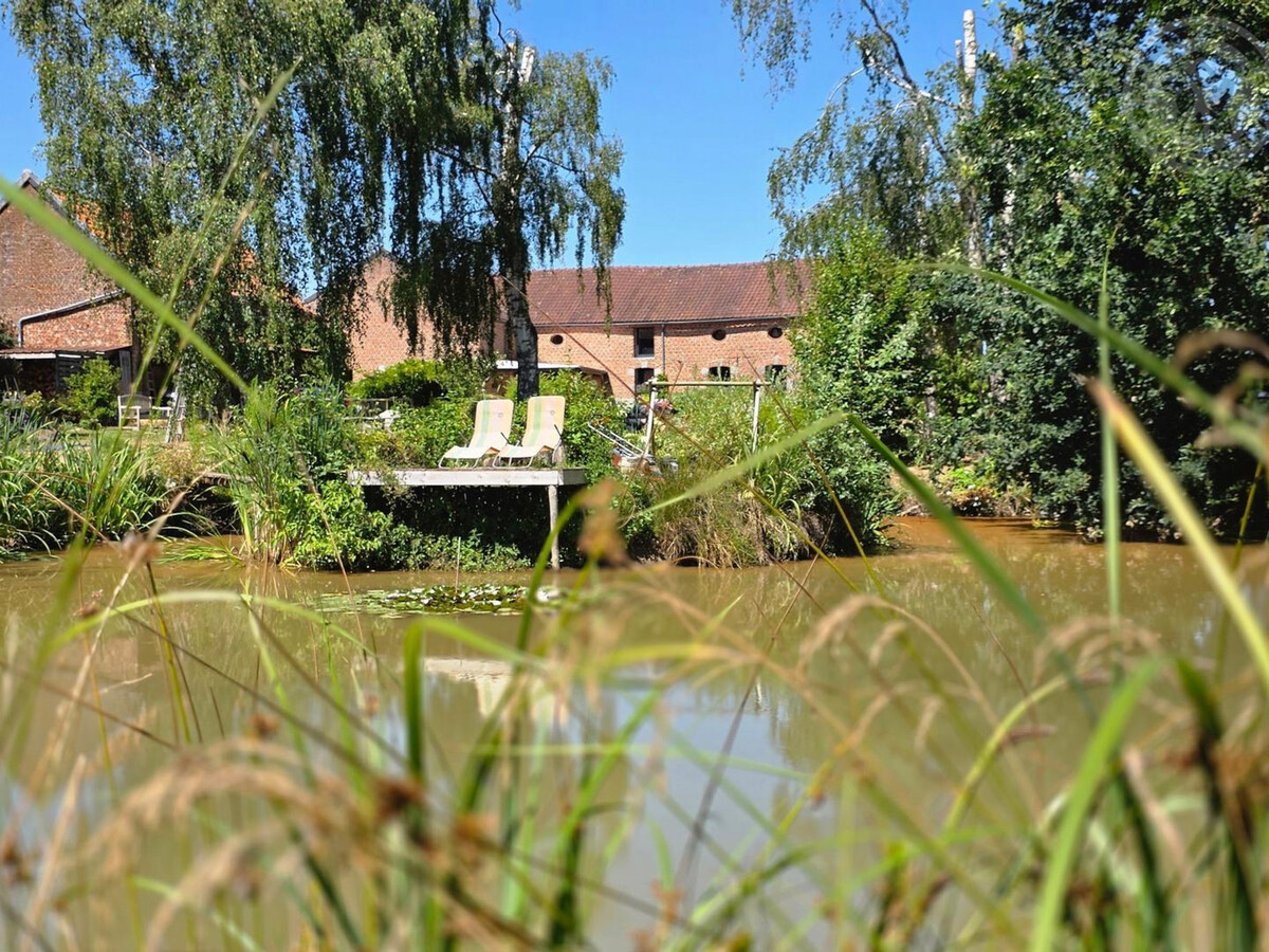 Gîte Panda à Landrecies, parc 3ha avec spa et étang - Photo 1