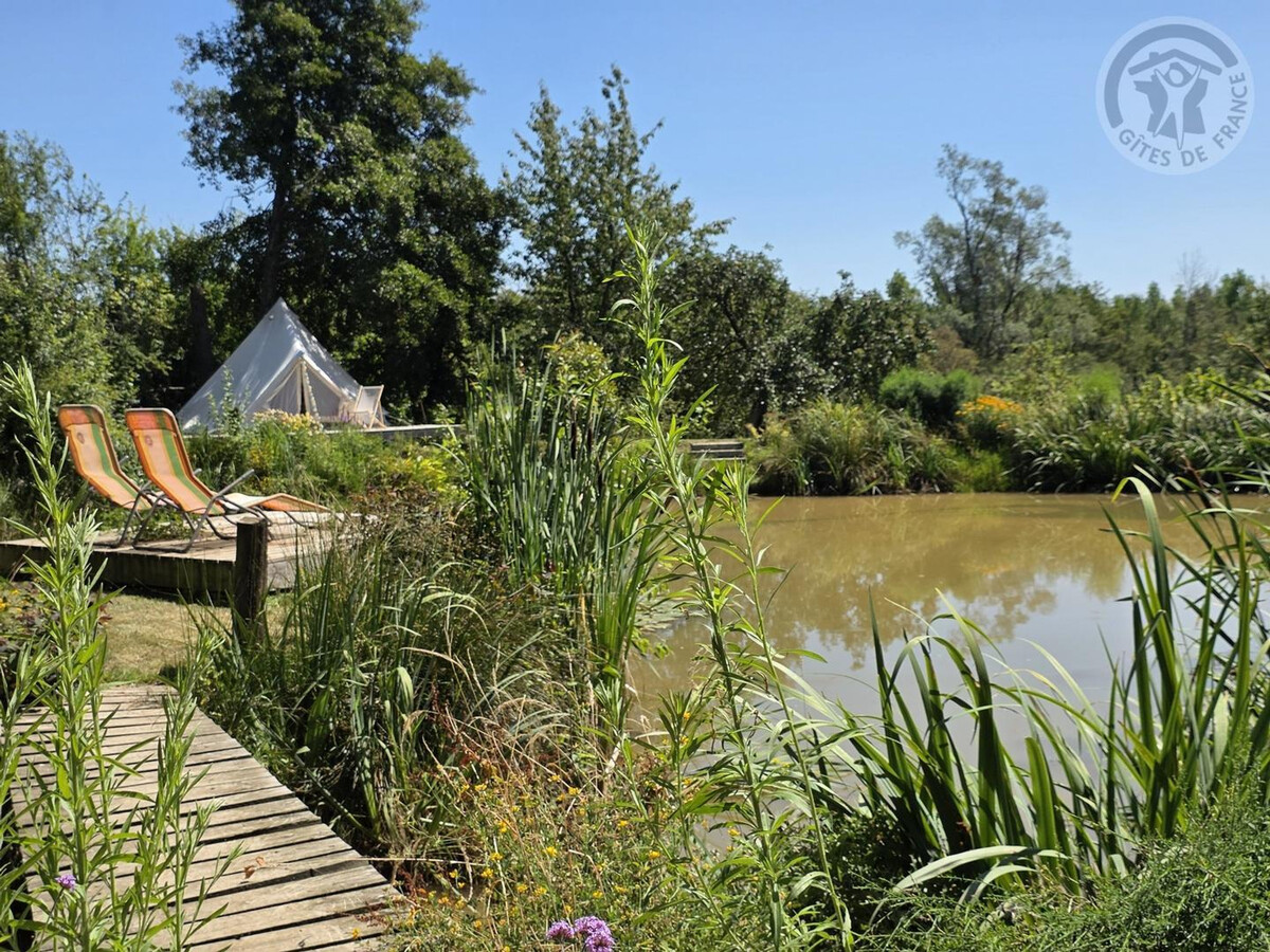 Gîte Panda à Landrecies, parc 3ha avec spa et étang - Photo 9