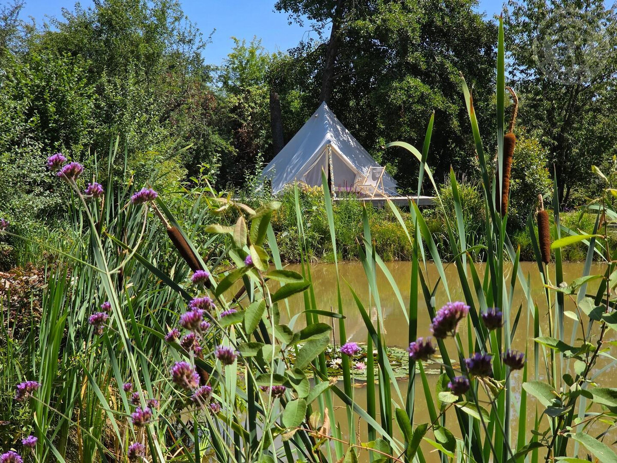 Gîte Panda à Landrecies, parc 3ha avec spa et étang - Photo 31