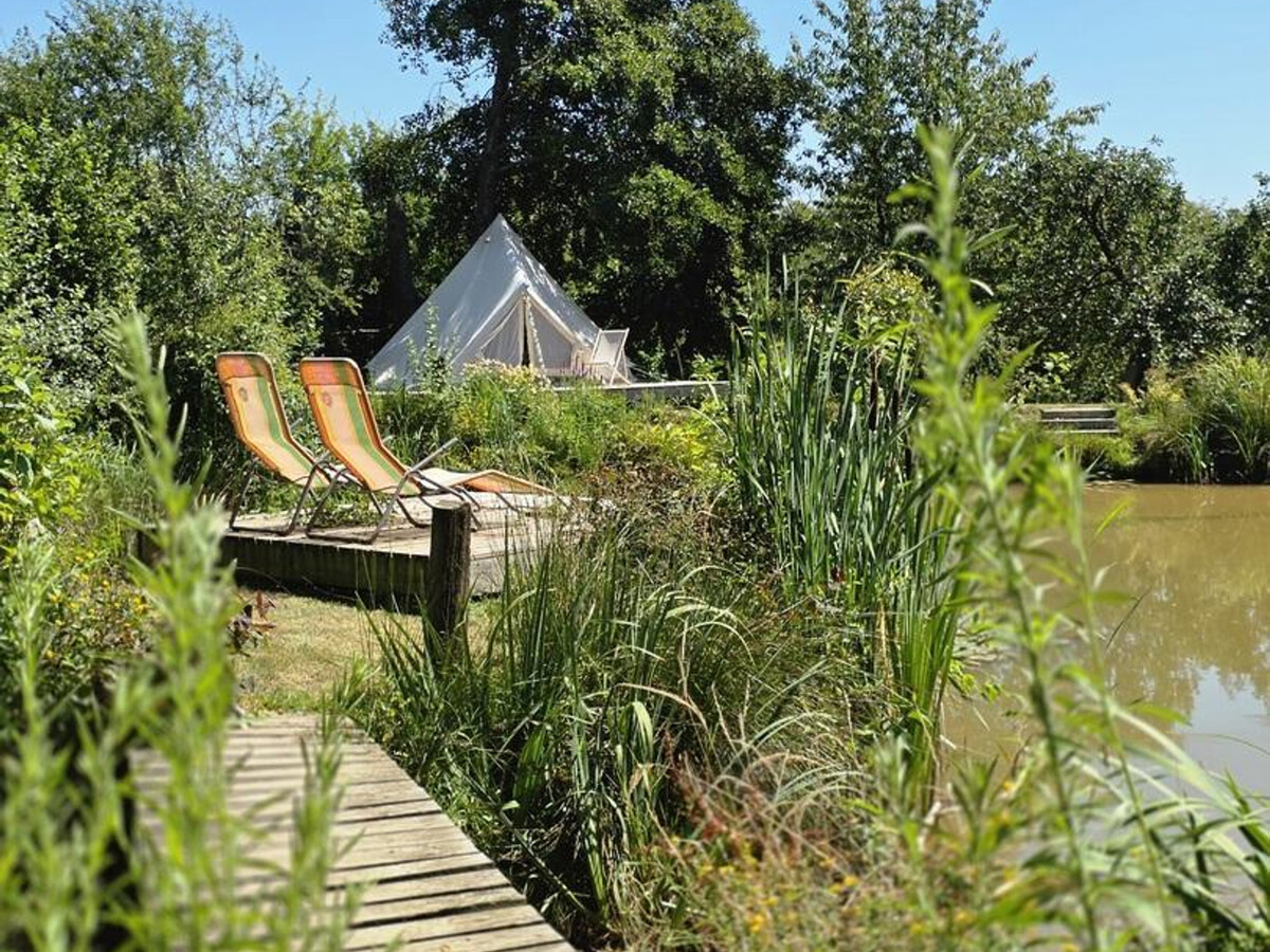 Gîte Panda à Landrecies, parc 3ha avec spa et étang - Photo 36