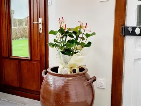Gîte 6 personnes avec étang - Cassel : photo 23