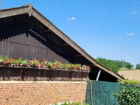 Gîte 6 personnes avec étang - Cassel : photo 36