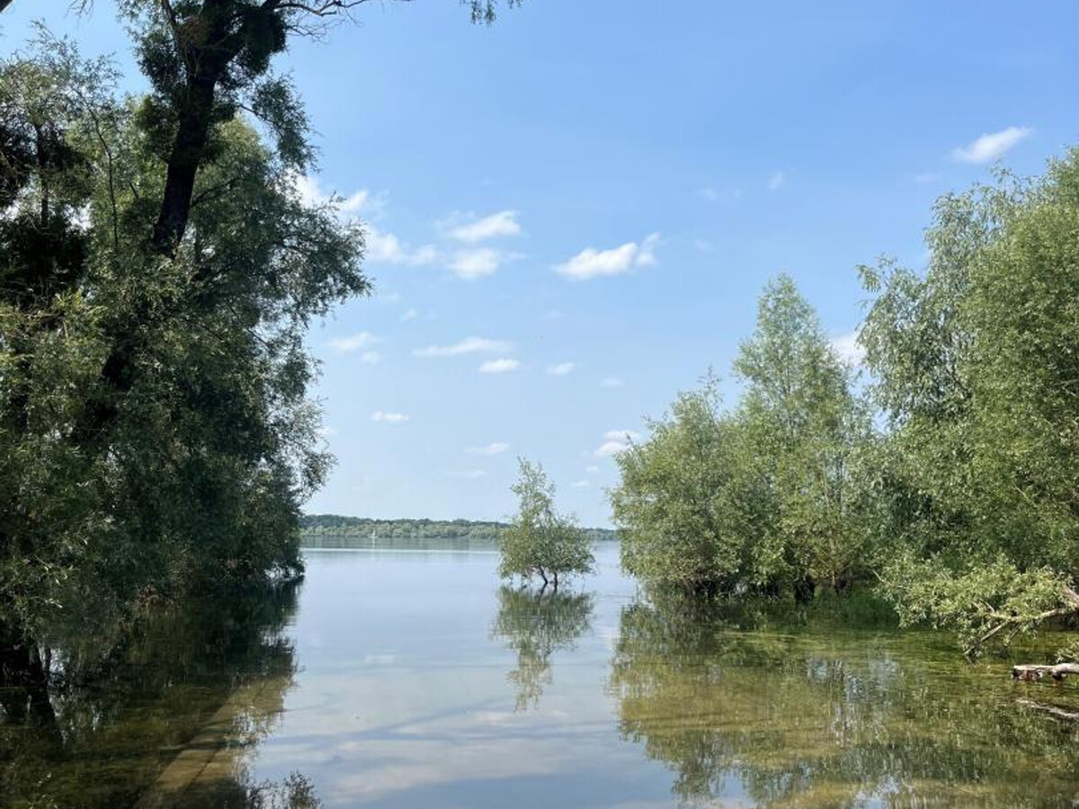 Gîte 6 pers. avec jardin clos aux lacs de la Forêt d'Orient - Photo 36