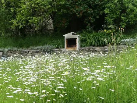 Ferme rénovée écologique avec vue panoramique à Vorey : photo 19