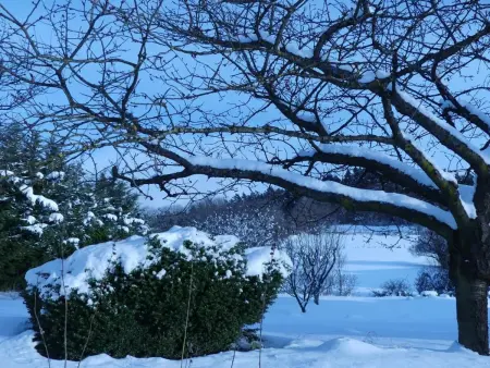 Ferme rénovée écologique avec vue panoramique à Vorey : photo 23