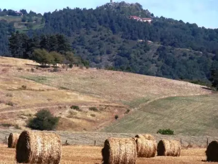 Ferme rénovée écologique avec vue panoramique à Vorey : photo 27