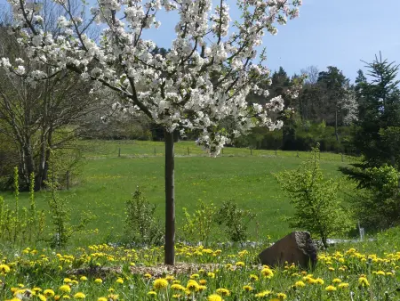 Ferme rénovée écologique avec vue panoramique à Vorey : photo 34
