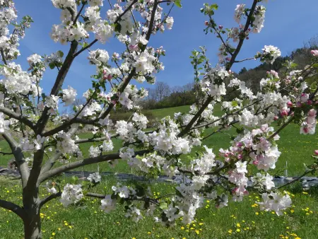 Ferme rénovée écologique avec vue panoramique à Vorey : photo 35
