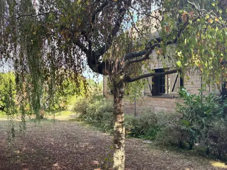 Le Chalet - Gîte 6 pers. face aux chevaux en Sologne : photo 28