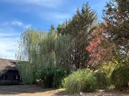 Le Chalet - Gîte 6 pers. face aux chevaux en Sologne : photo 31