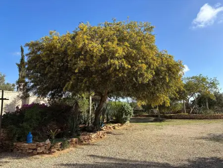 Villa avec piscine privée et jardin clos à Essaouira, 12 personnes : photo 44