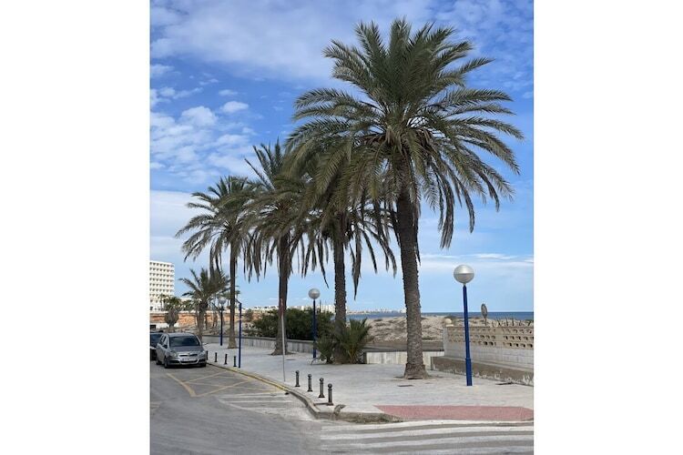 Maison 3 chambres avec piscine à Orihuela Costa - Photo 31