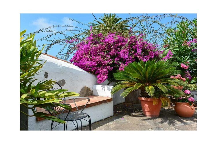 Manoir de 250 ans avec vue Teide et piscine - Photo 4