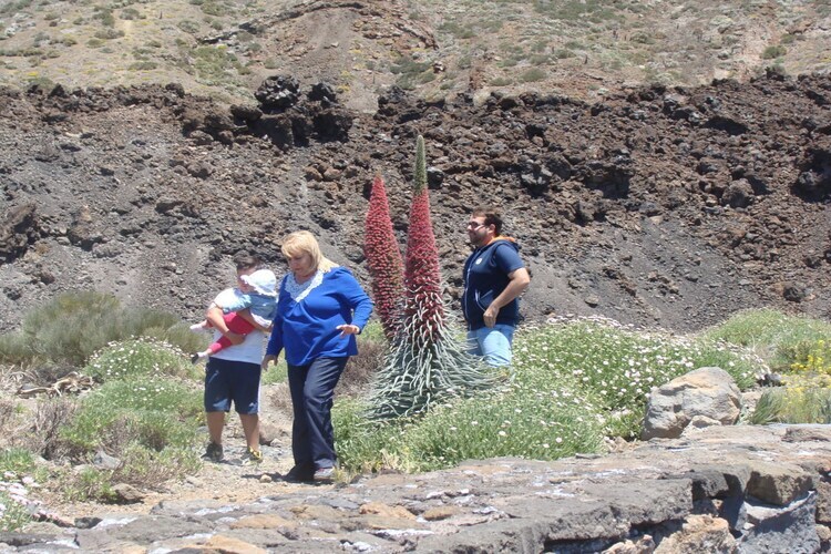 Manoir de 250 ans avec vue Teide et piscine - Photo 23